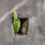 how to open a pvc cement can when its stuck