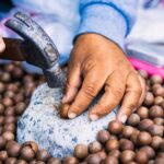 how to process macadamia nuts at home