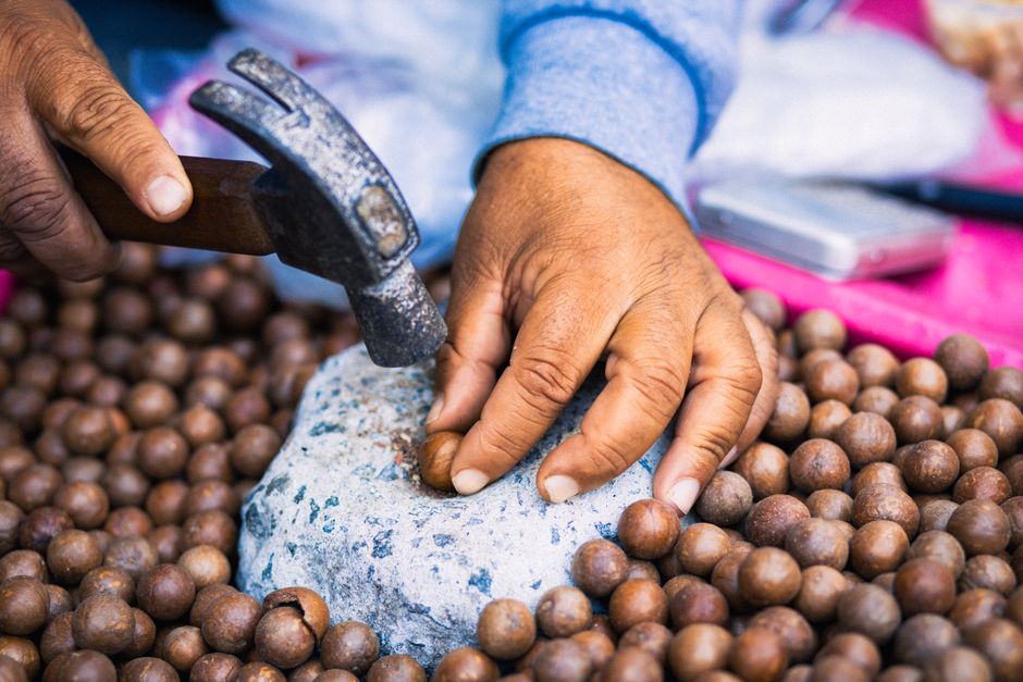 how to process macadamia nuts at home