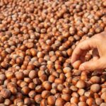 how to remove skins from hazelnuts the easy way