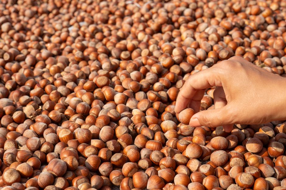 how to remove skins from hazelnuts the easy way