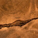 how to stop a crack in wood from spreading