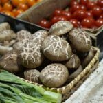 how to store fresh shiitake mushrooms fridge to freezer