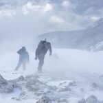 how to survive extreme cold hypothermia to frostbite