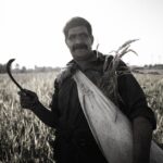 how to use a sickle technique safety care