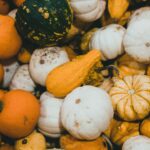 is a squash fruit or vegetable