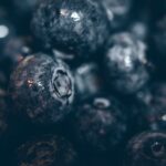 is blueberry pie good for you nutrition facts