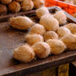 is coconut oil drying the truth for skin and hair