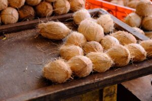 is coconut oil drying the truth for skin and hair