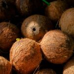 is coconut oil good for high porosity hair