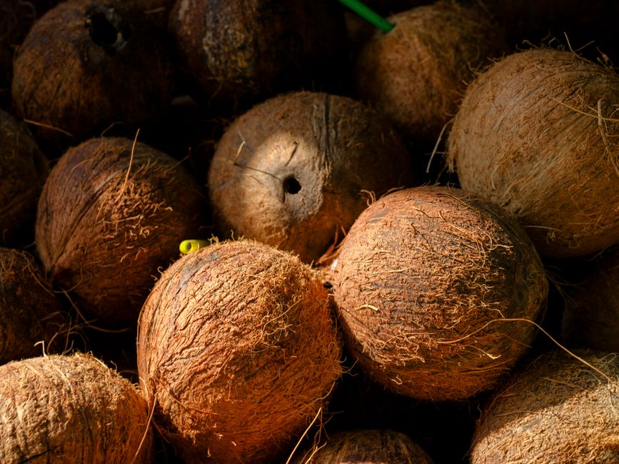 is coconut oil good for high porosity hair