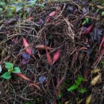 is compost flammable how to prevent pile fires