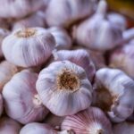 is eating garlic every day actually good for you
