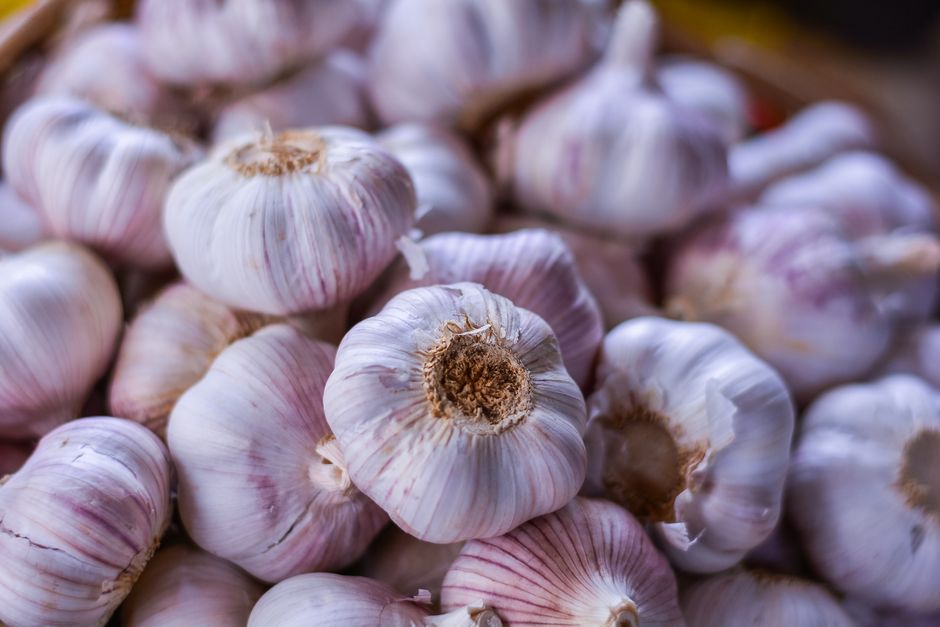 is eating garlic every day actually good for you