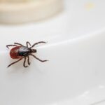 is high hematocrit dangerous risks and symptoms