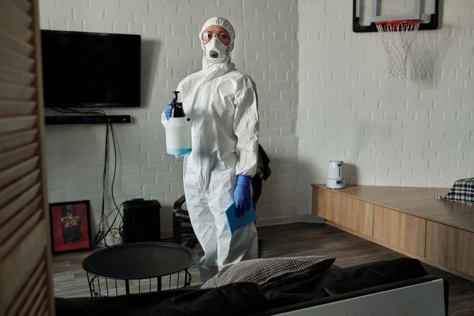 is it safe to clean mold yourself what to know