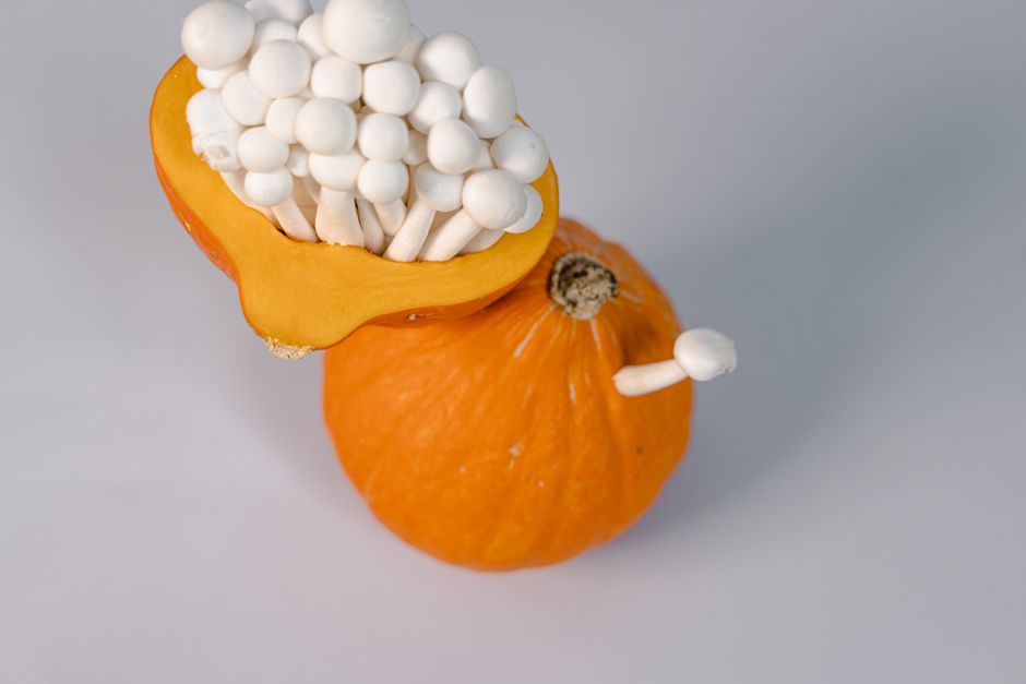 is there fiber in mushrooms benefits and gut health
