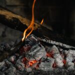 is white mold on firewood dangerous to humans
