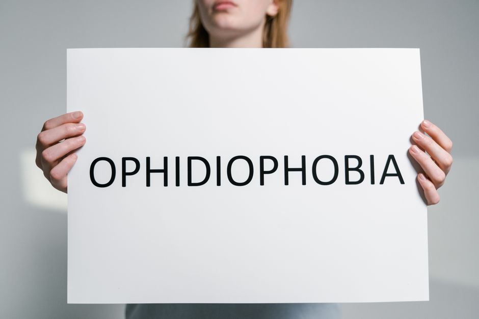 what are co occurring disorders signs treatment