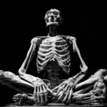 what bone is the tibia
