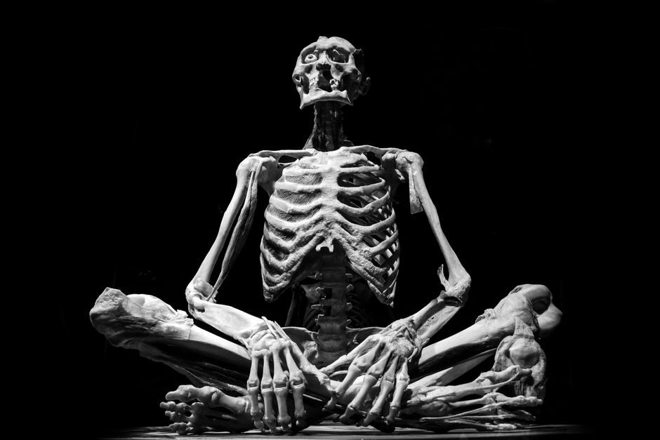 what bone is the tibia