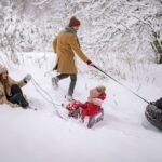 what can i use as a sled best household options