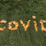 what causes the leaves to change color in the fall