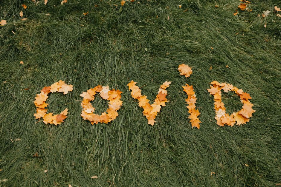 what causes the leaves to change color in the fall