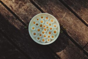 What Is Daisy Water And How Does It Work For Skin? 2 what is daisy water and how does it work for skin