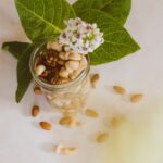 what is egg white protein benefits and uses