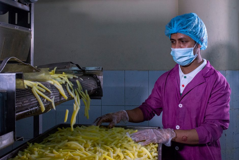 what is the industrial food chain and why does it persist