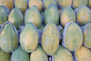 what is the lactase enzyme made of