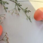 when do eggs split for twins the timeline explained