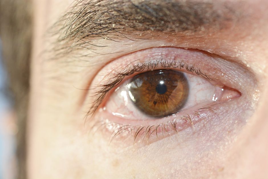 why eyewitnesses get it wrong the science of memory
