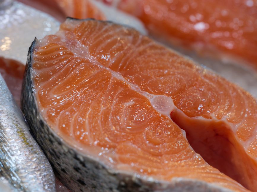 why is salmon so oily the science behind the fat